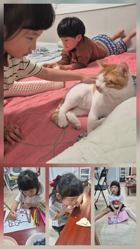 KakaoTalk_20260614_232127253_01.jpg