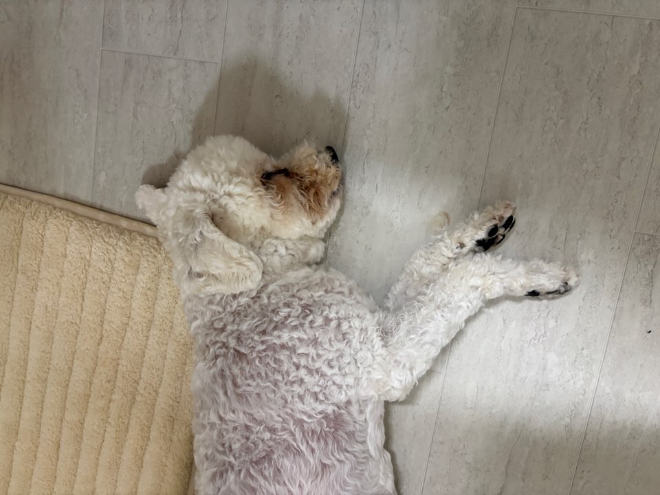 KakaoTalk_20260922_151152918.jpg