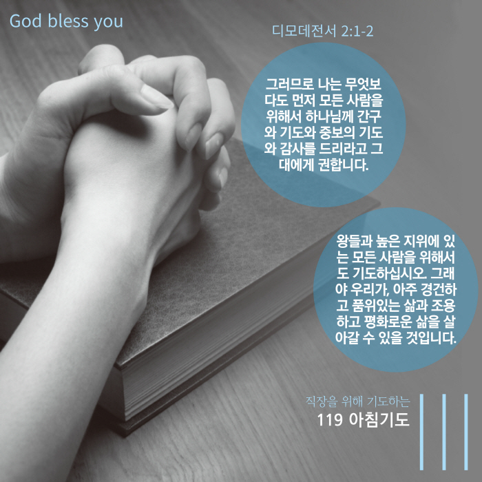KakaoTalk_20250531_231333431.jpg