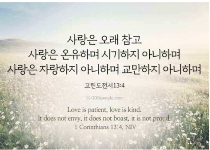 KakaoTalk_20260612_220217616.jpg