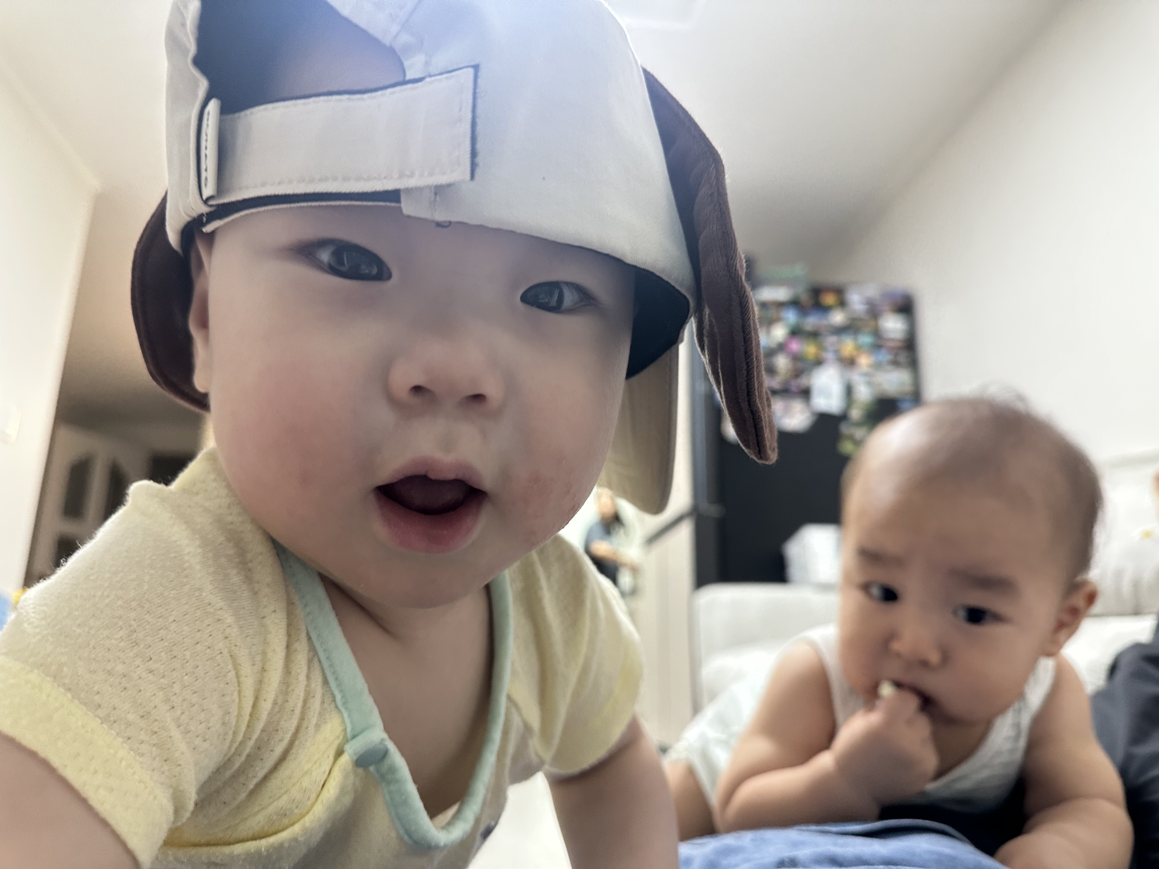 IMG_0262.jpeg