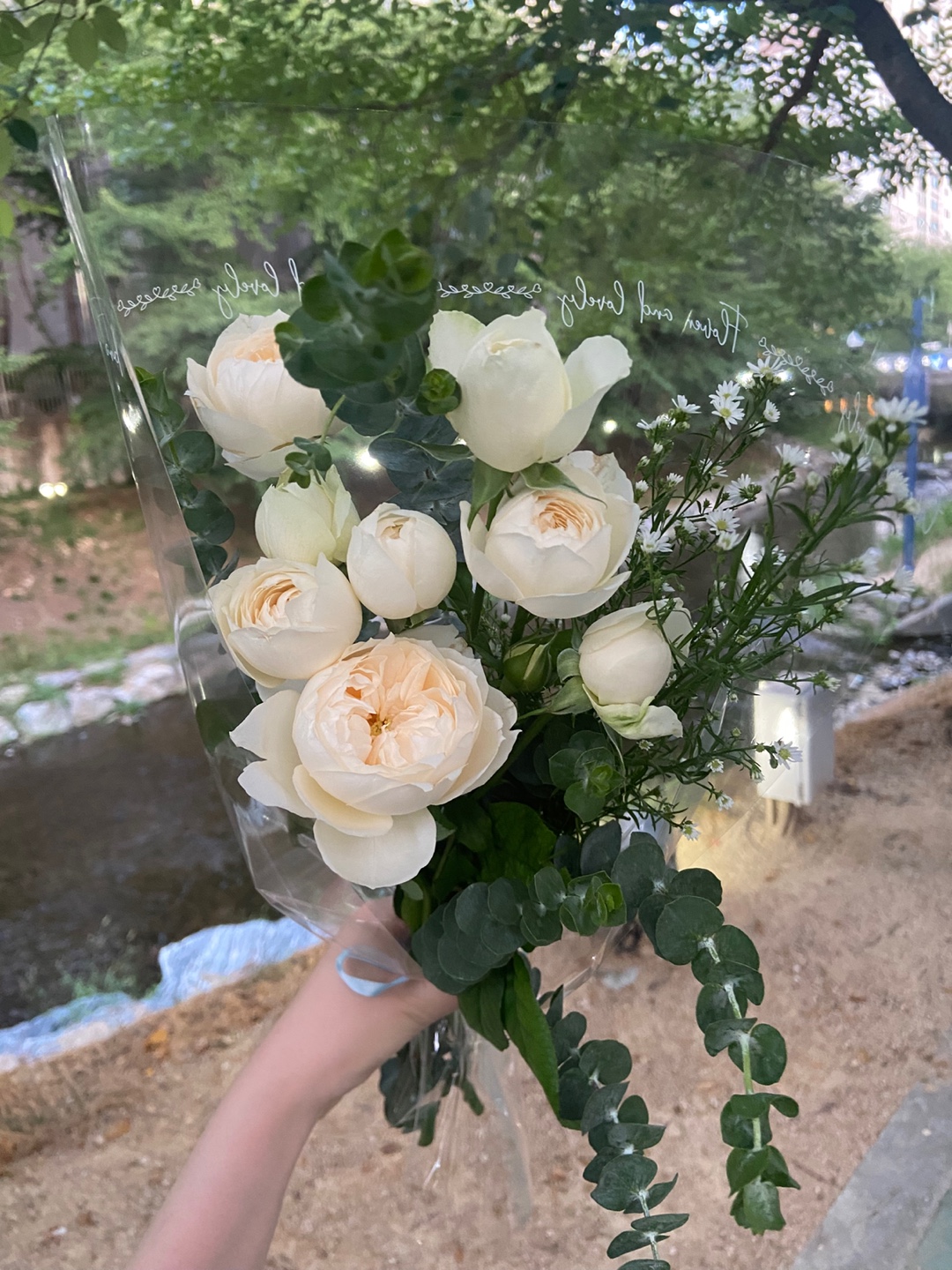 KakaoTalk_20250803_132744105.jpg