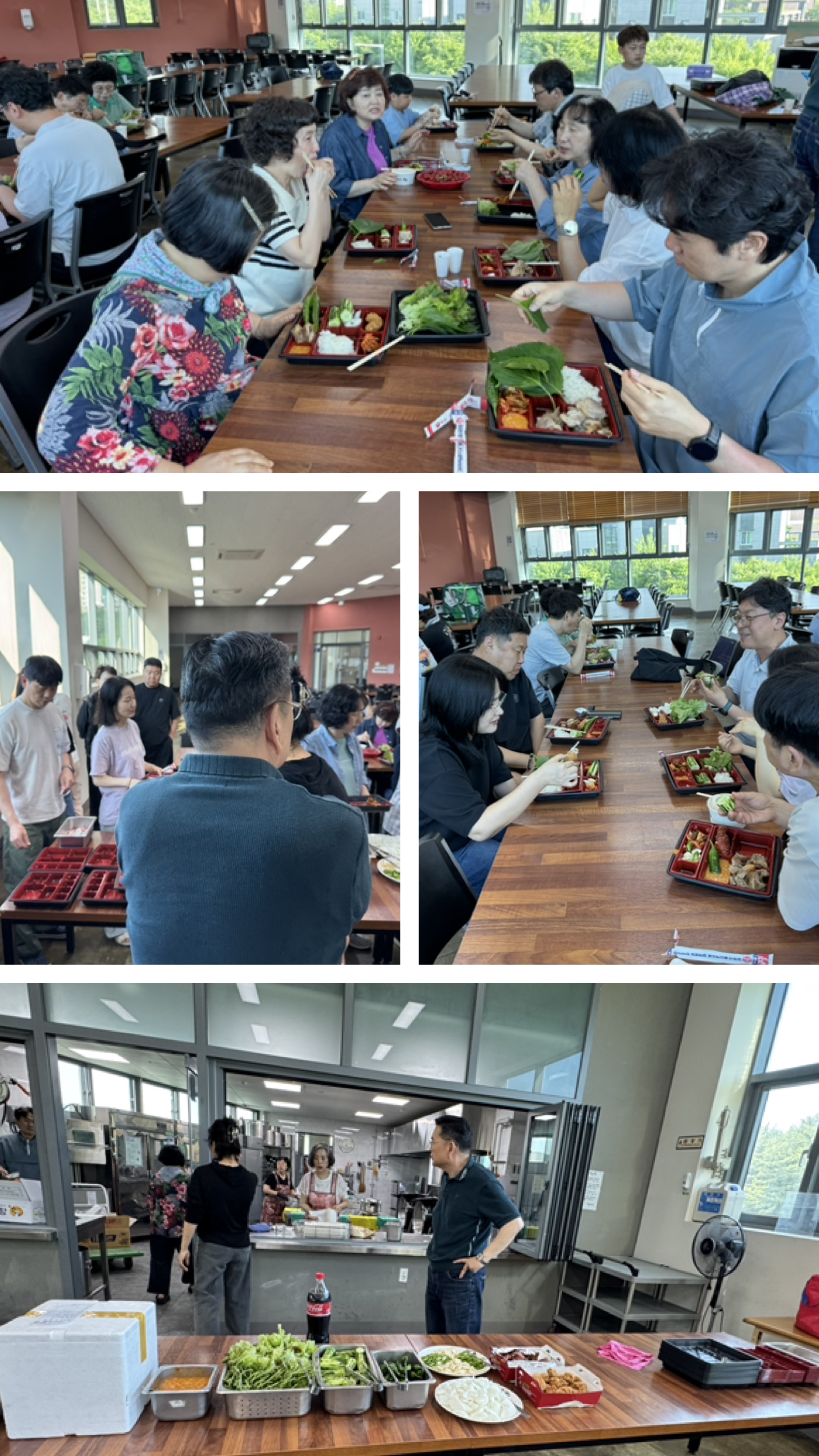 3348D8A1-A7CB-468C-AE41-ECBD9E40790A-COLLAGE.jpeg