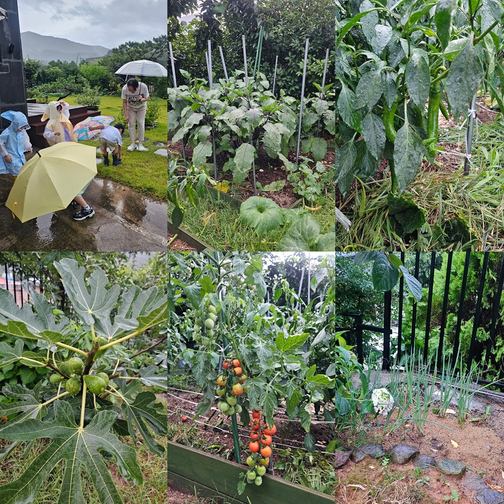 KakaoTalk_20250721_170220729_02.jpg