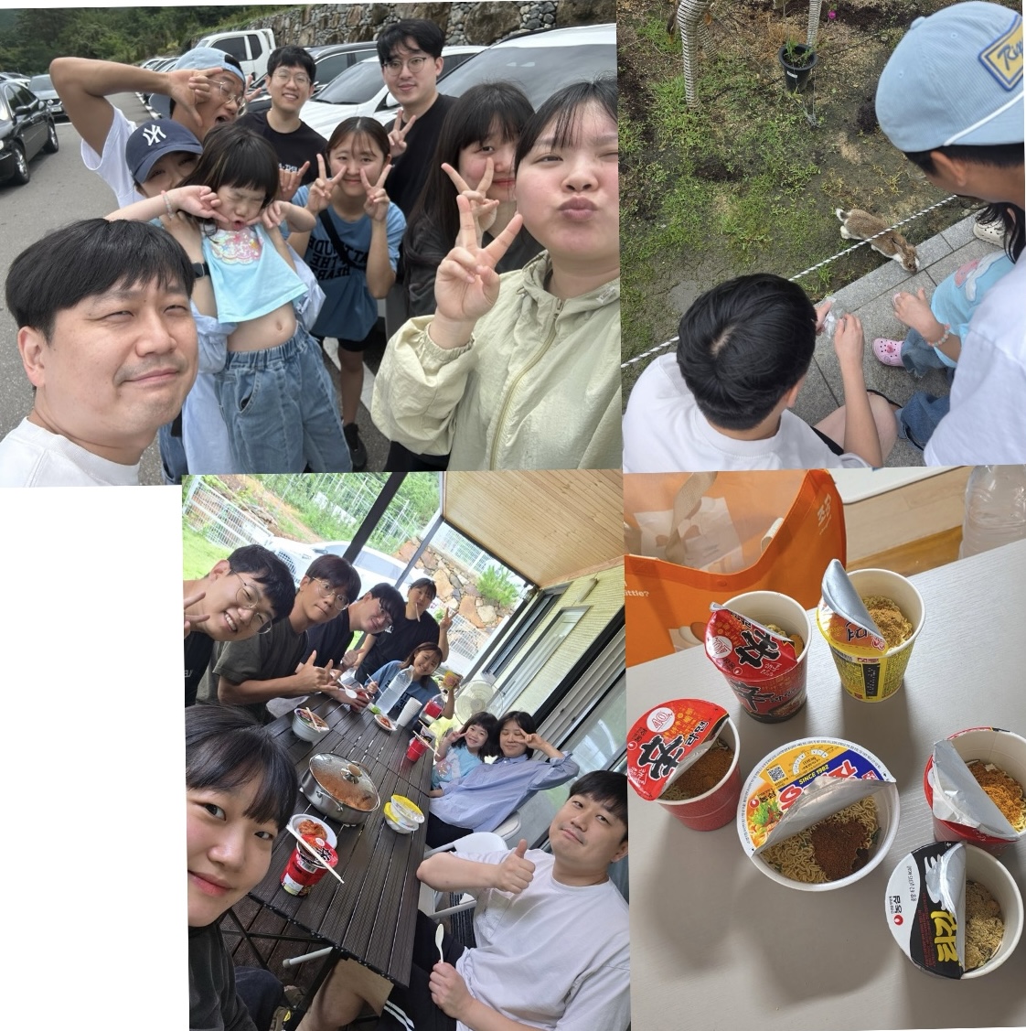 IMG_1064.jpeg