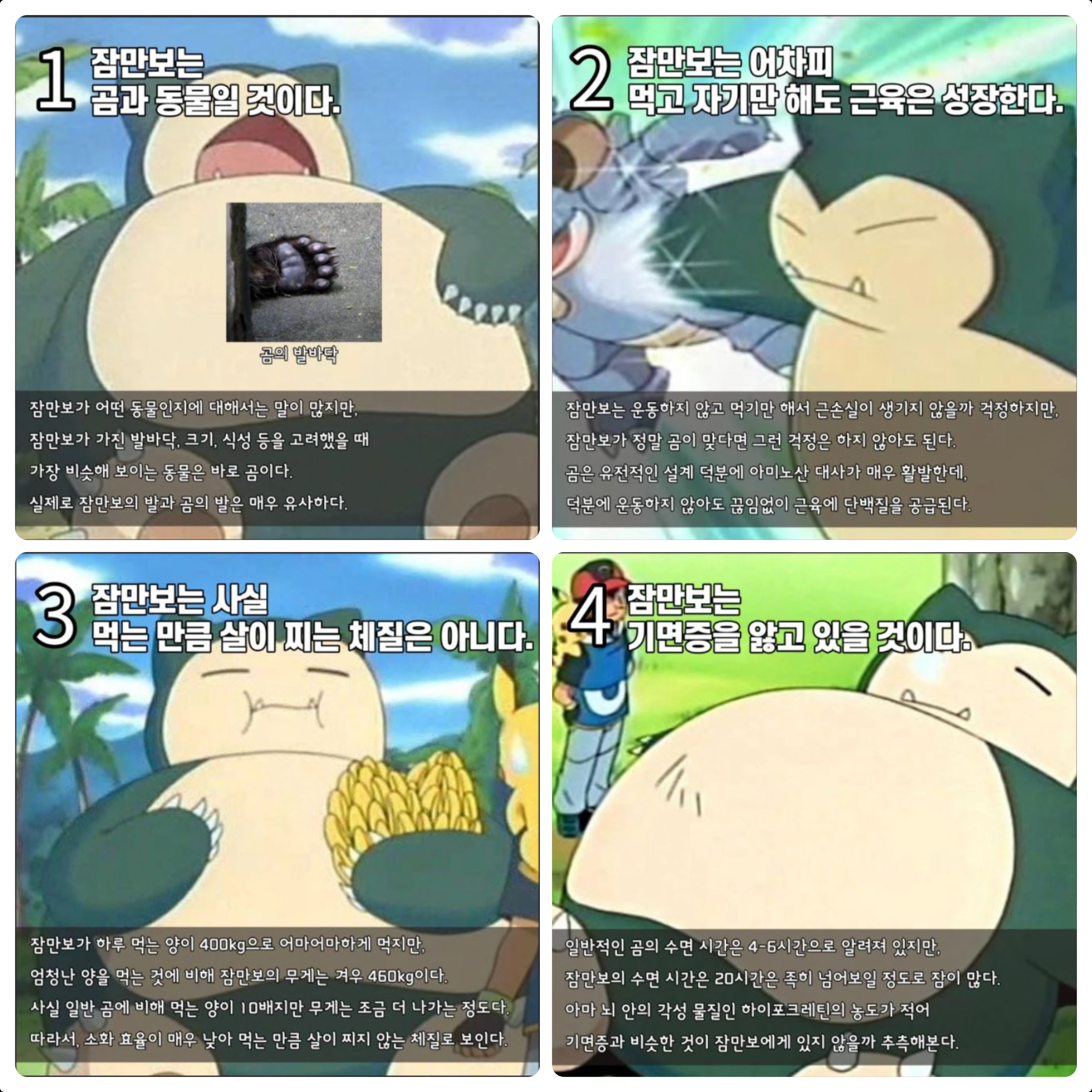 layout-collage-1784526403526.jpg