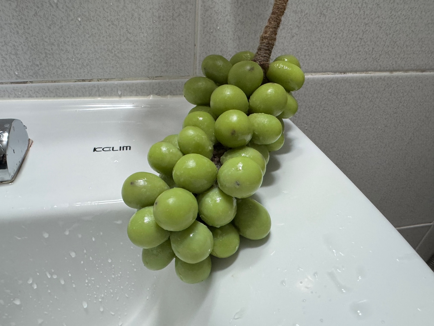 KakaoTalk_20250722_134054002_09.jpg
