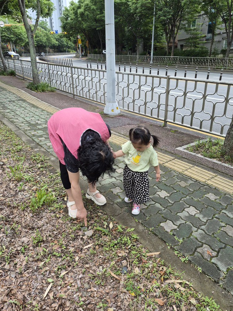 KakaoTalk_20260622_104452522_15.jpg