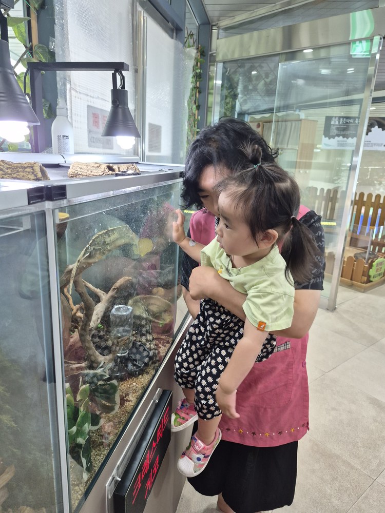 KakaoTalk_20260622_104442373_16.jpg