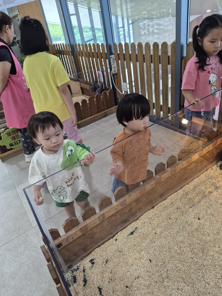 KakaoTalk_20260622_104442373_23.jpg