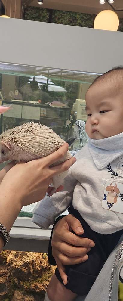KakaoTalk_20260524_182637810_04.jpg