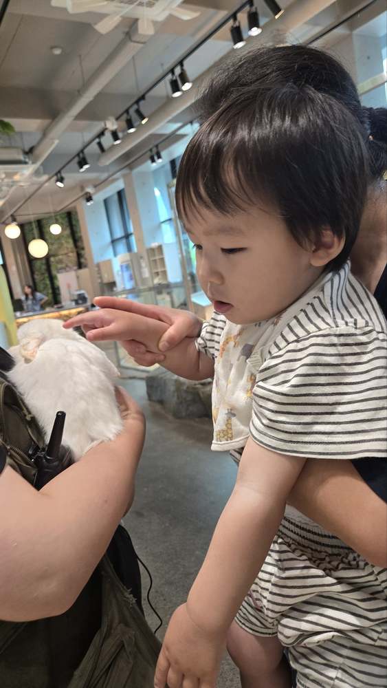 KakaoTalk_20260524_182637810_03.jpg