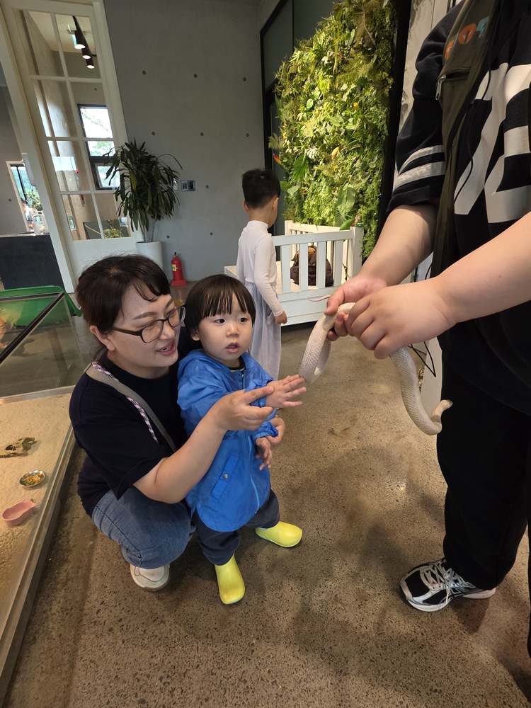 KakaoTalk_20260524_182556741_17.jpg