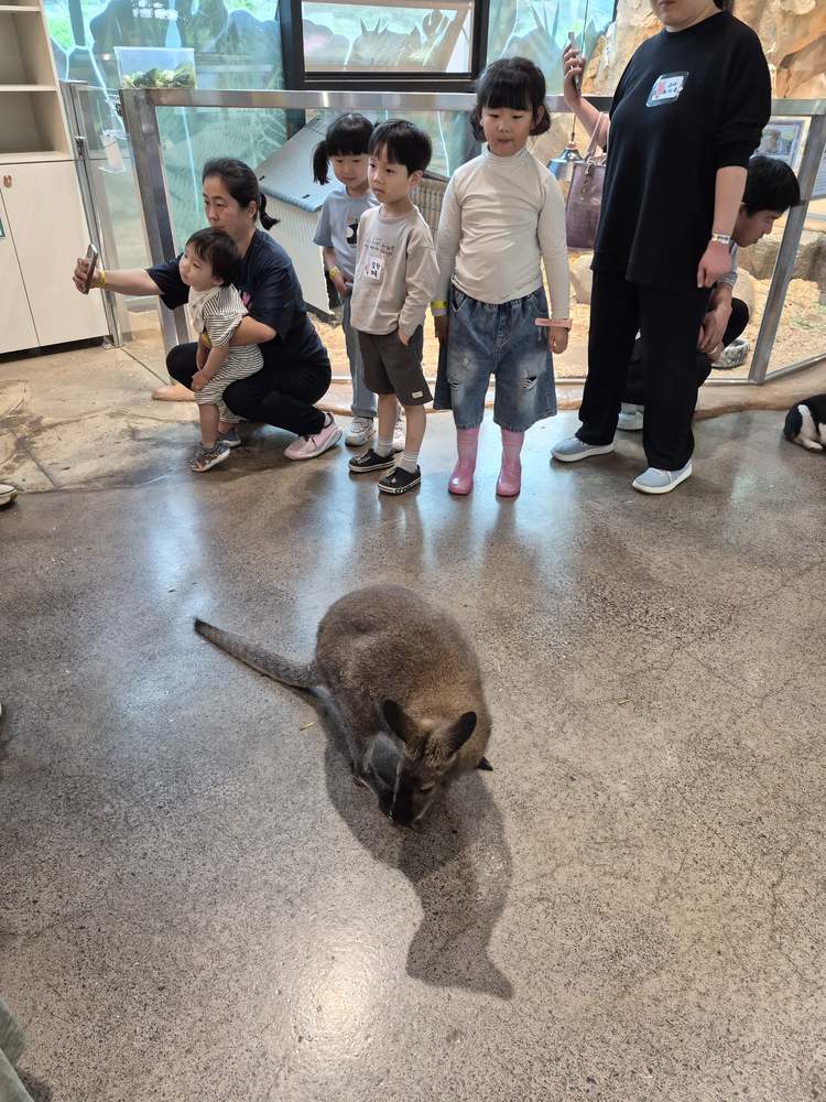 KakaoTalk_20260524_182604659_03.jpg