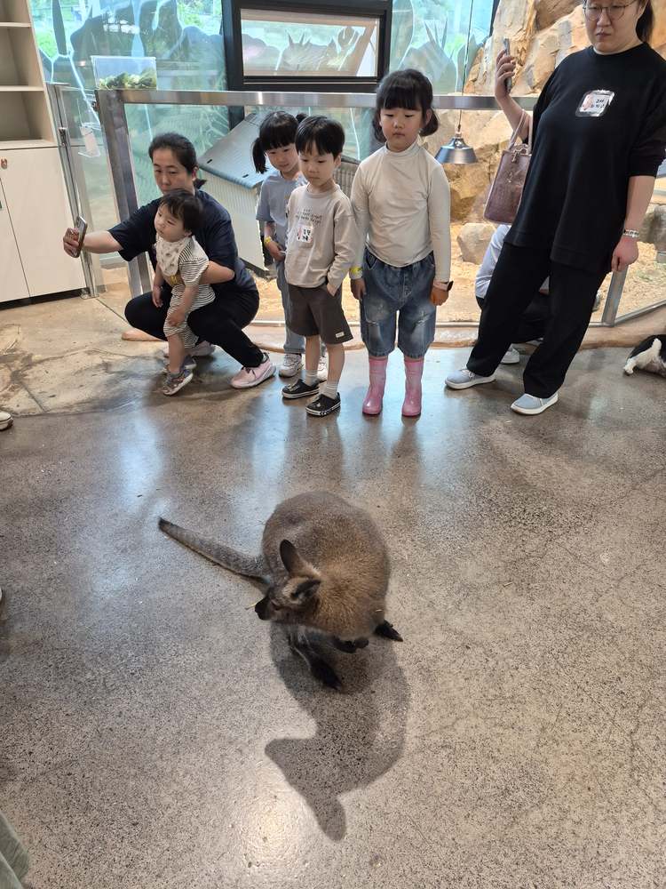 KakaoTalk_20260524_182604659_02.jpg
