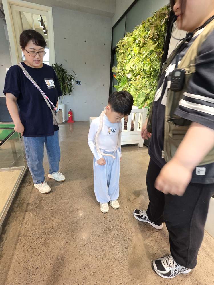 KakaoTalk_20260524_182556741_22.jpg