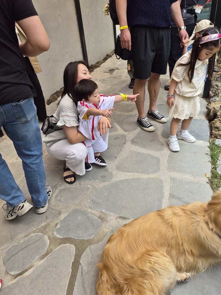 KakaoTalk_20260524_182614346_12.jpg