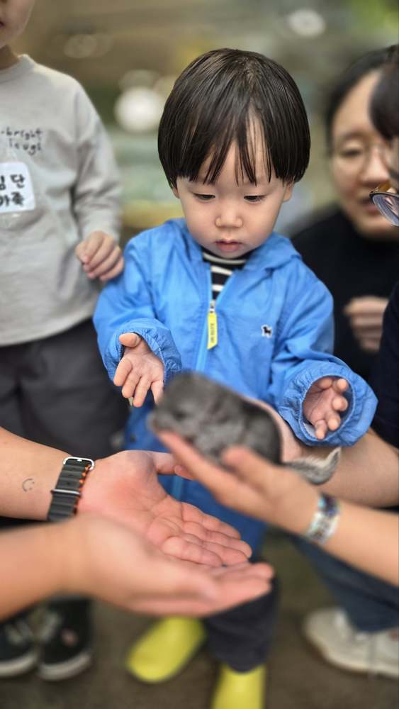 KakaoTalk_20260524_182637810_21.jpg