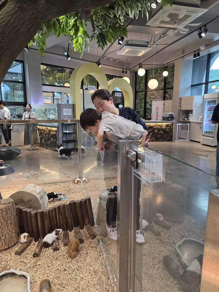 KakaoTalk_20260524_182556741_04.jpg