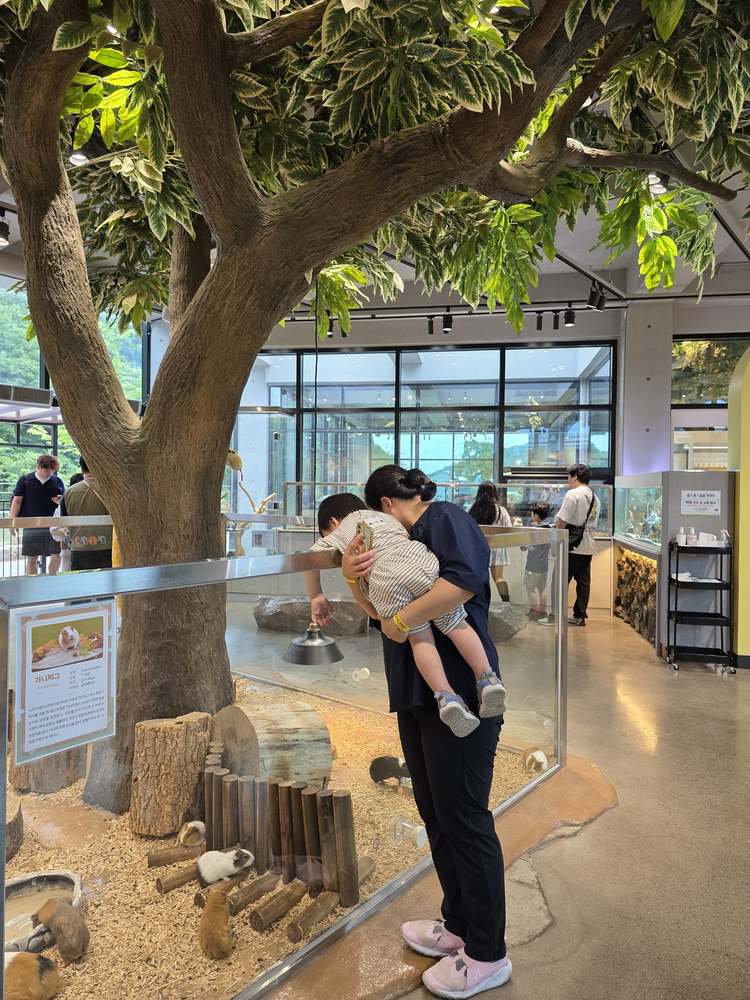 KakaoTalk_20260524_182556741_05.jpg