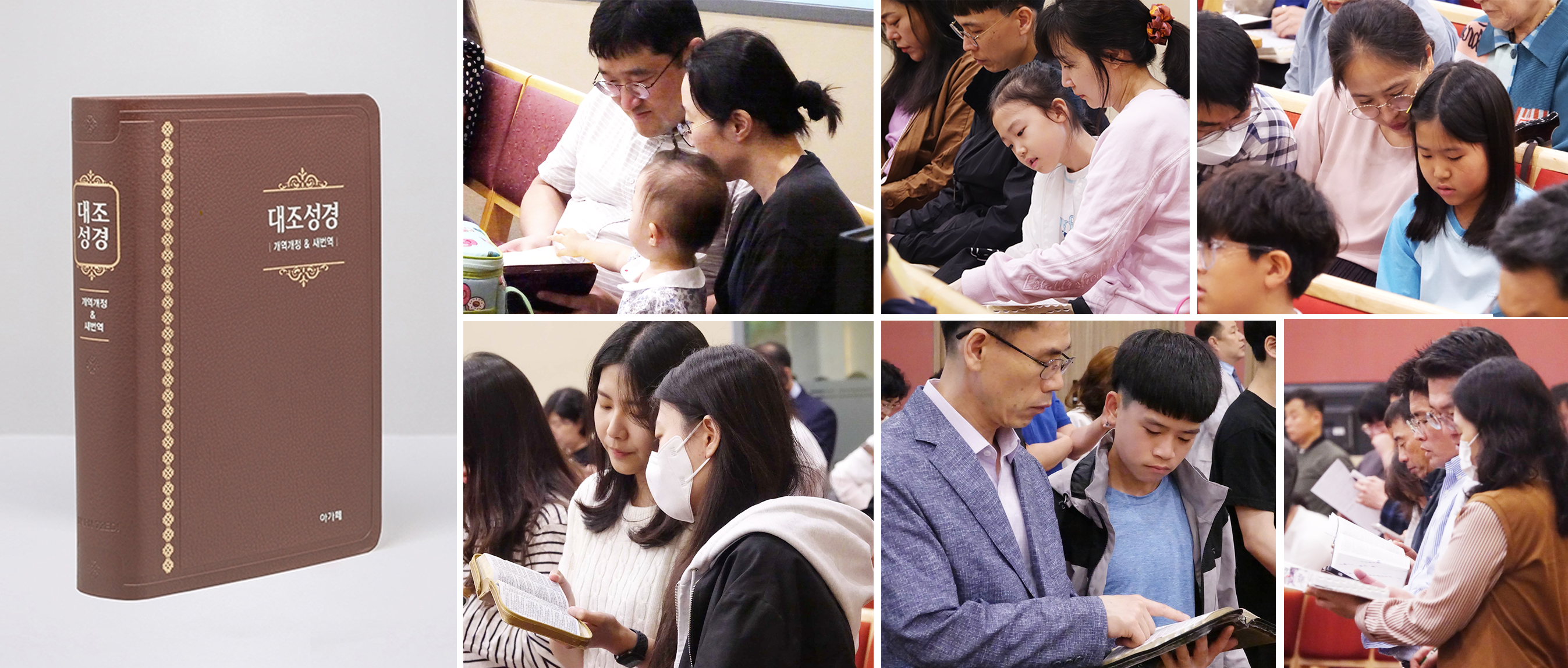 KakaoTalk_20250612_134332652.png