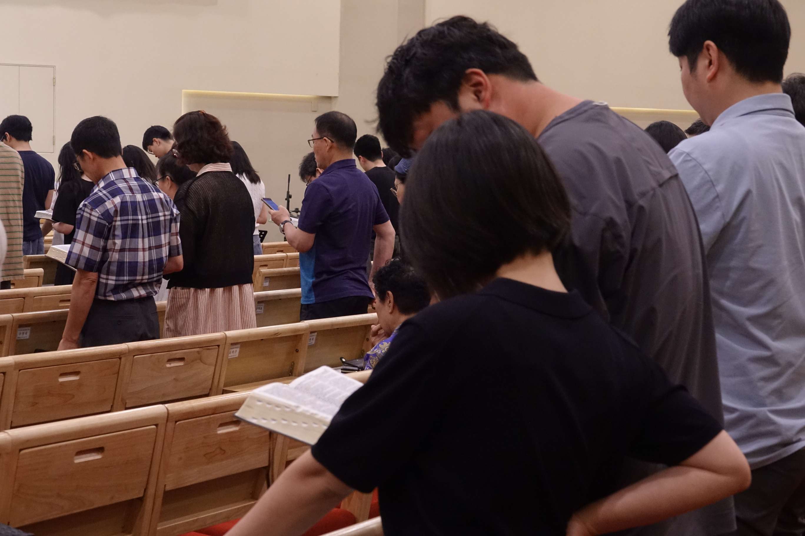 batch_DSC07092.JPG
