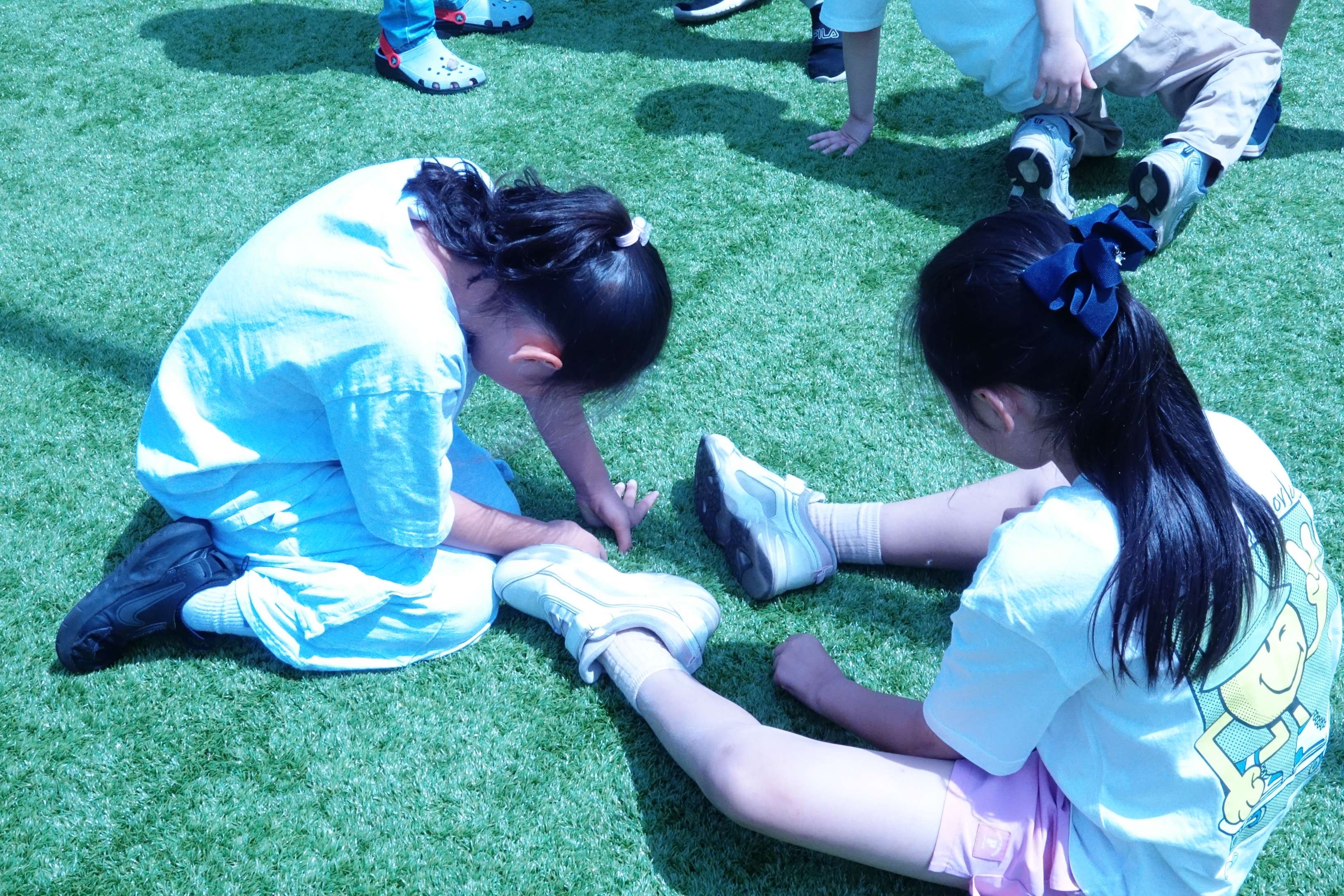 batch_DSC08239.JPG