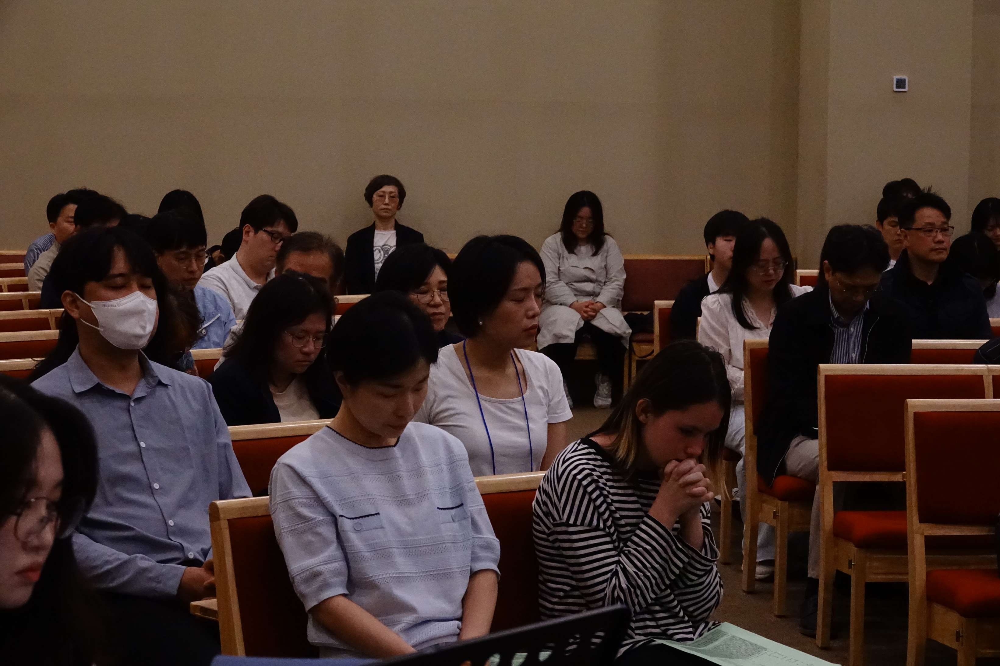 batch_DSC08065.JPG