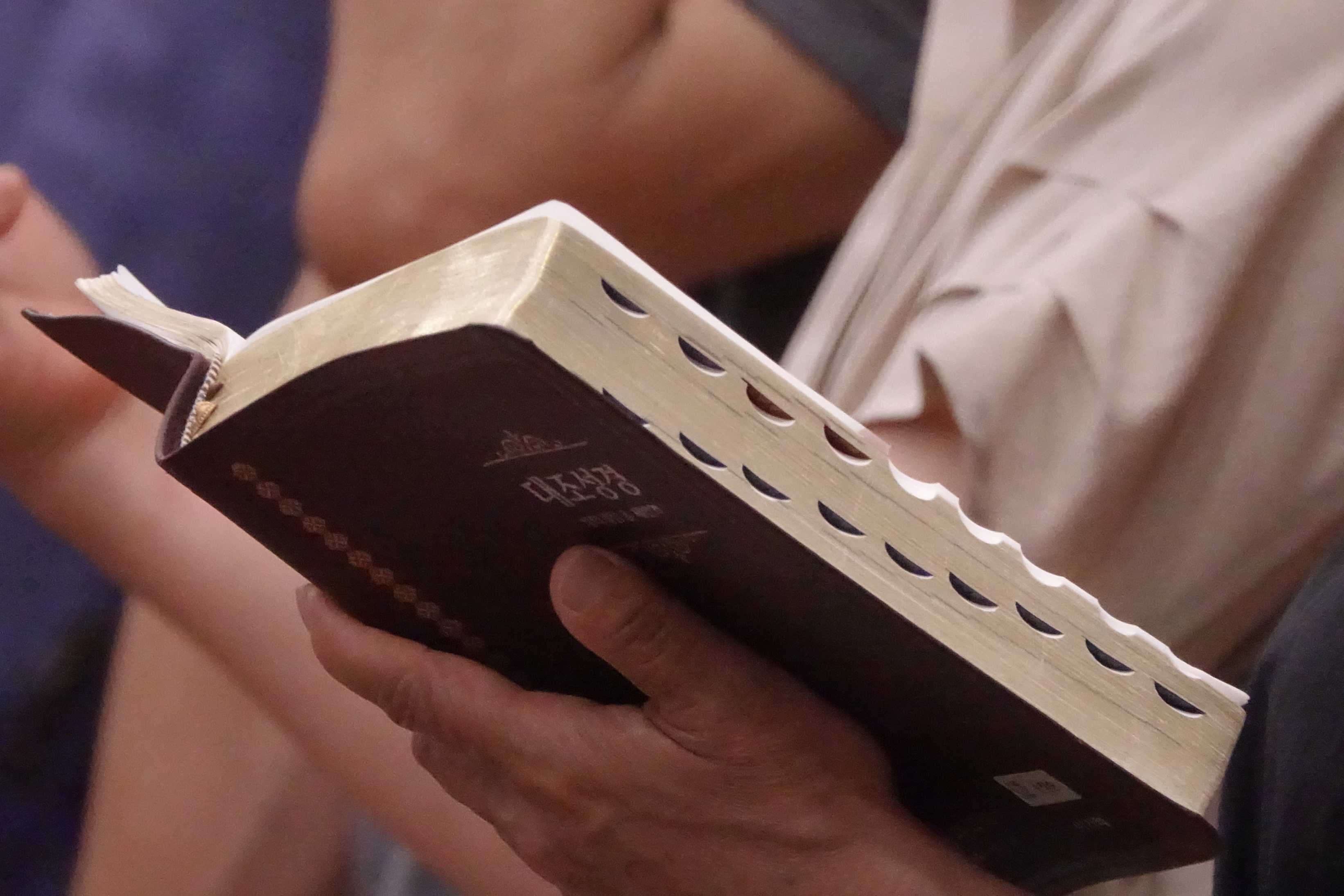 batch_DSC09254.JPG