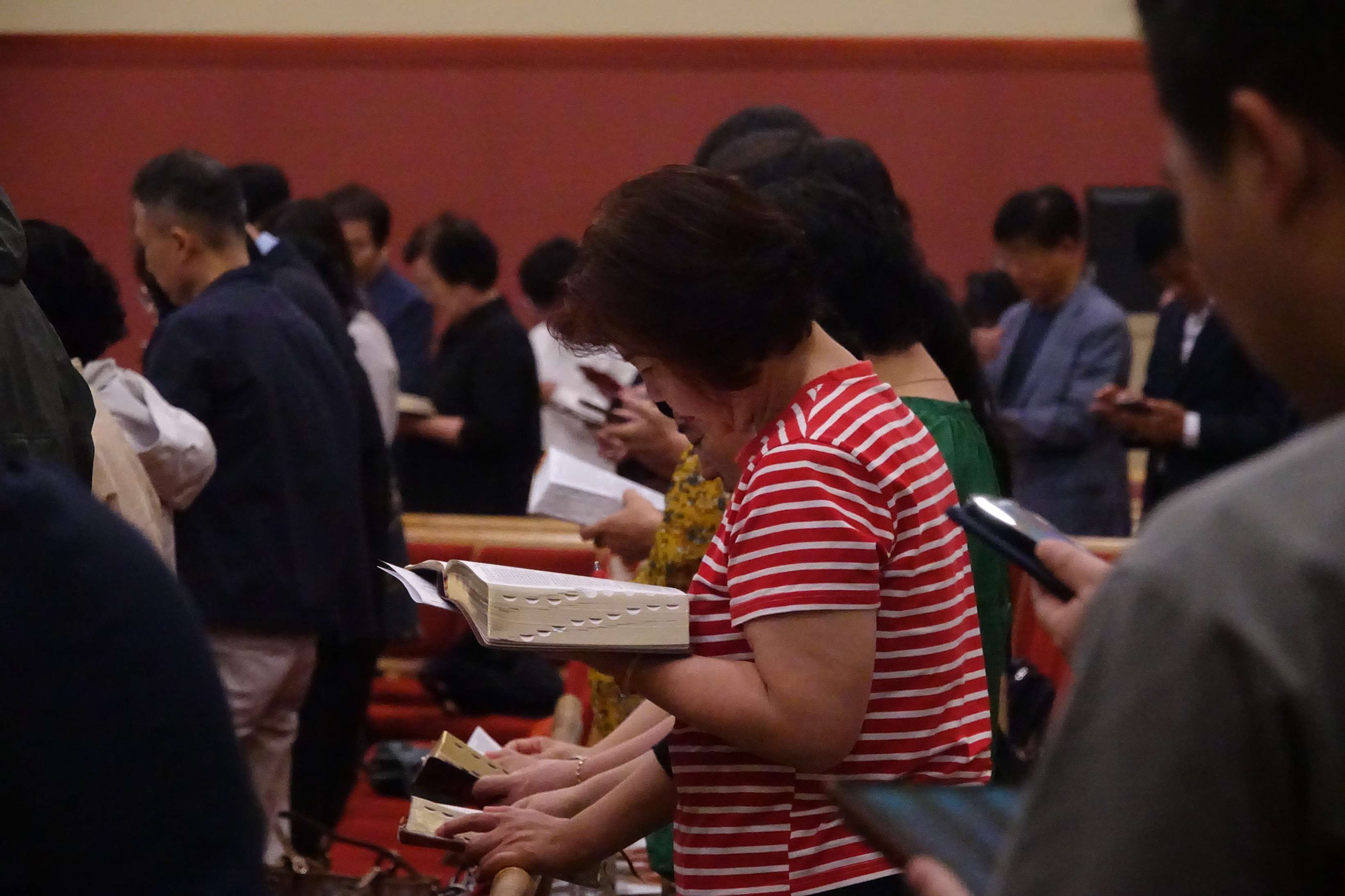 batch_DSC03758.JPG