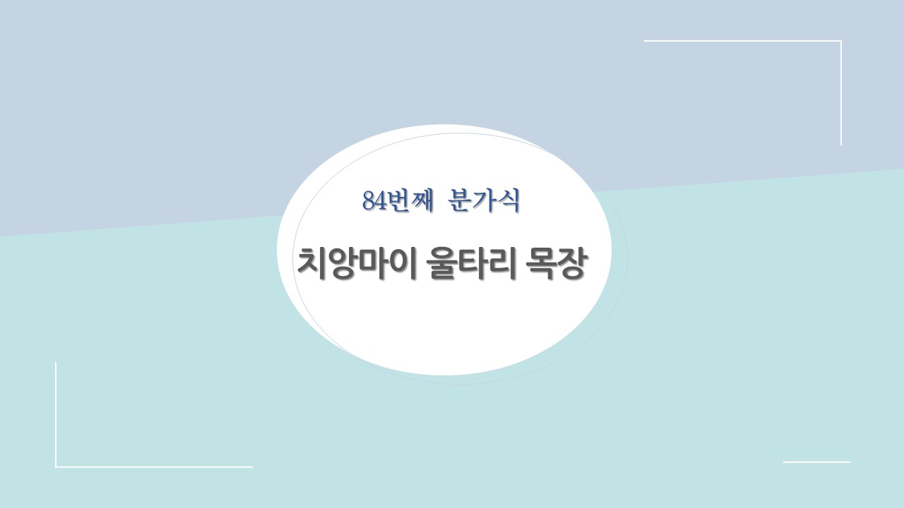 치앙마이울타리 분가식 표지.jpg