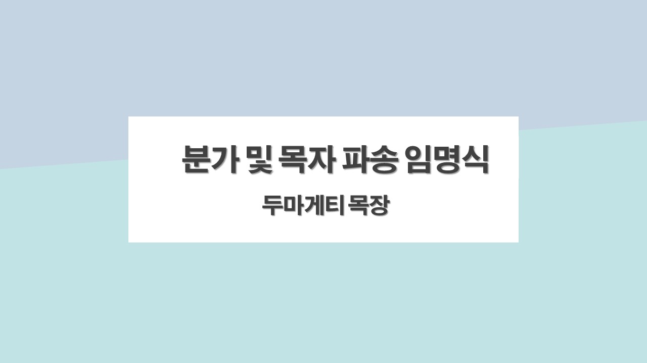 분가식 표지.jpg