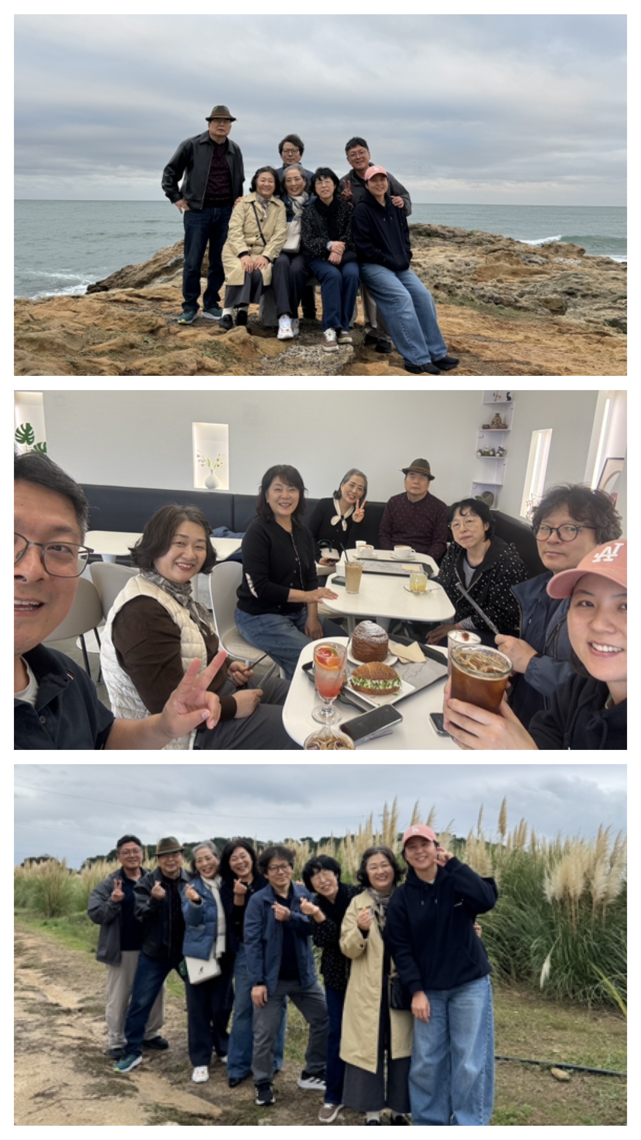 5EA50185-C57E-4C91-B79D-19A9FE9E523A-COLLAGE.jpeg