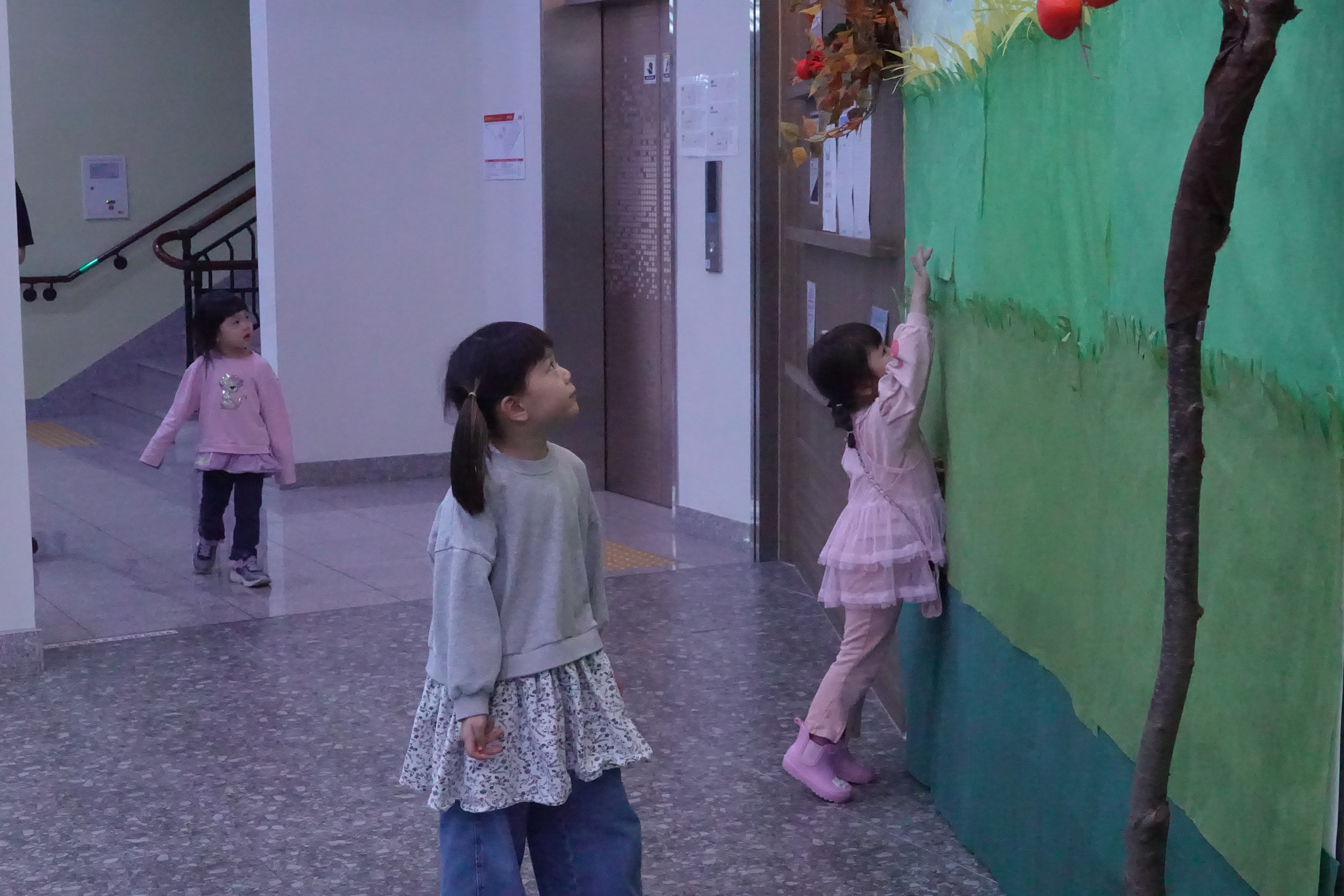 DSC05077.JPG